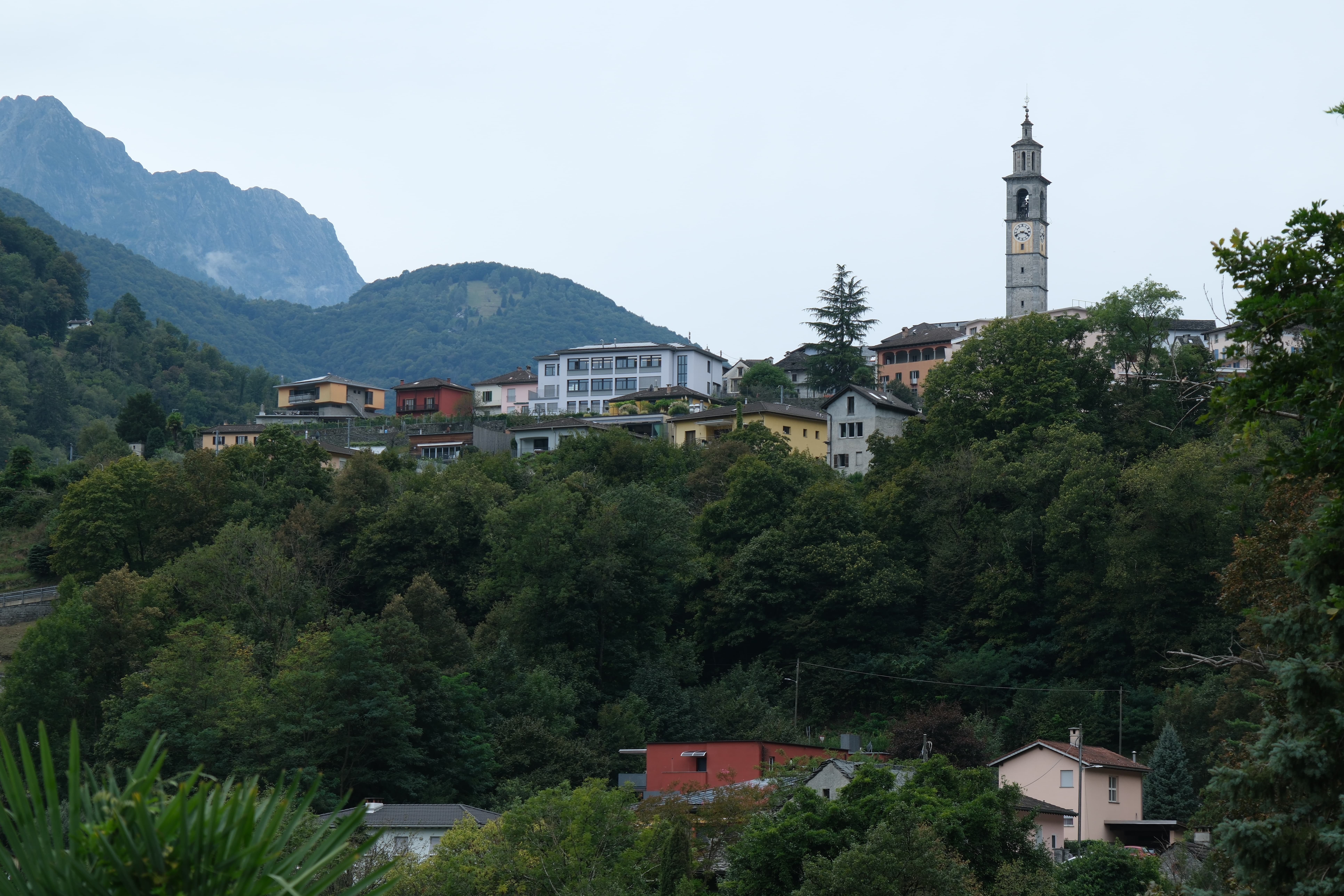 Read more about the article Intragna 2025