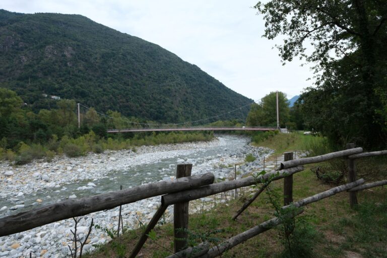 Read more about the article Losone-Golino