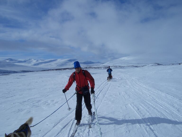 Read more about the article Norway Trekking