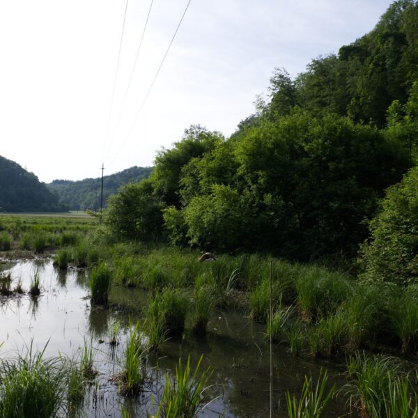 Blick nach Jestetten