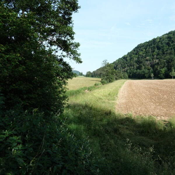 Blick nach Westen