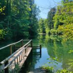 Read more about the article Wo die Eulach springt