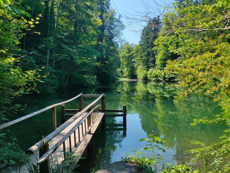 Read more about the article Wo die Eulach springt