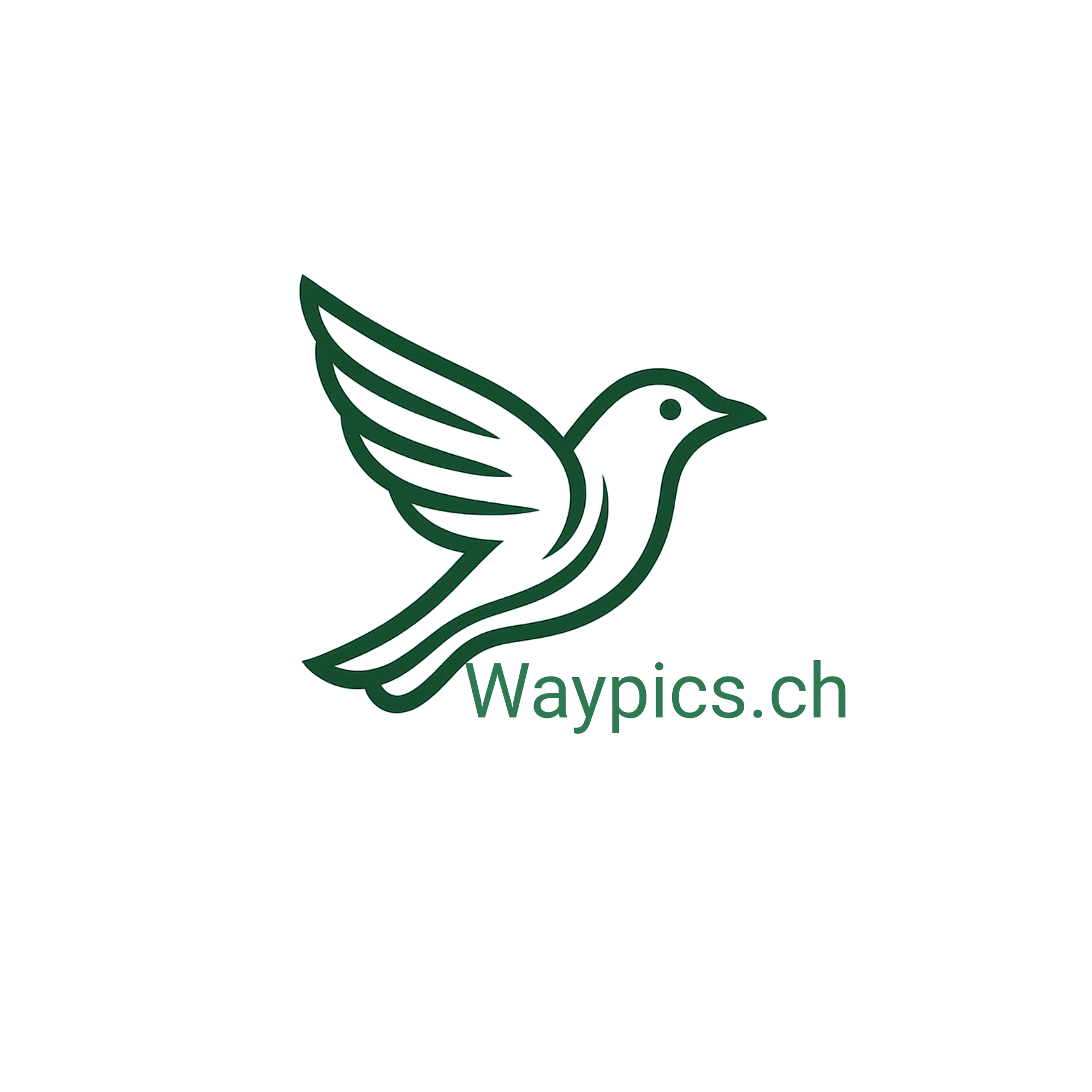Waypics.ch